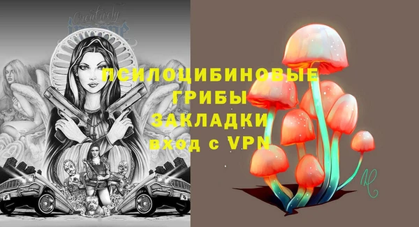spice Елабуга
